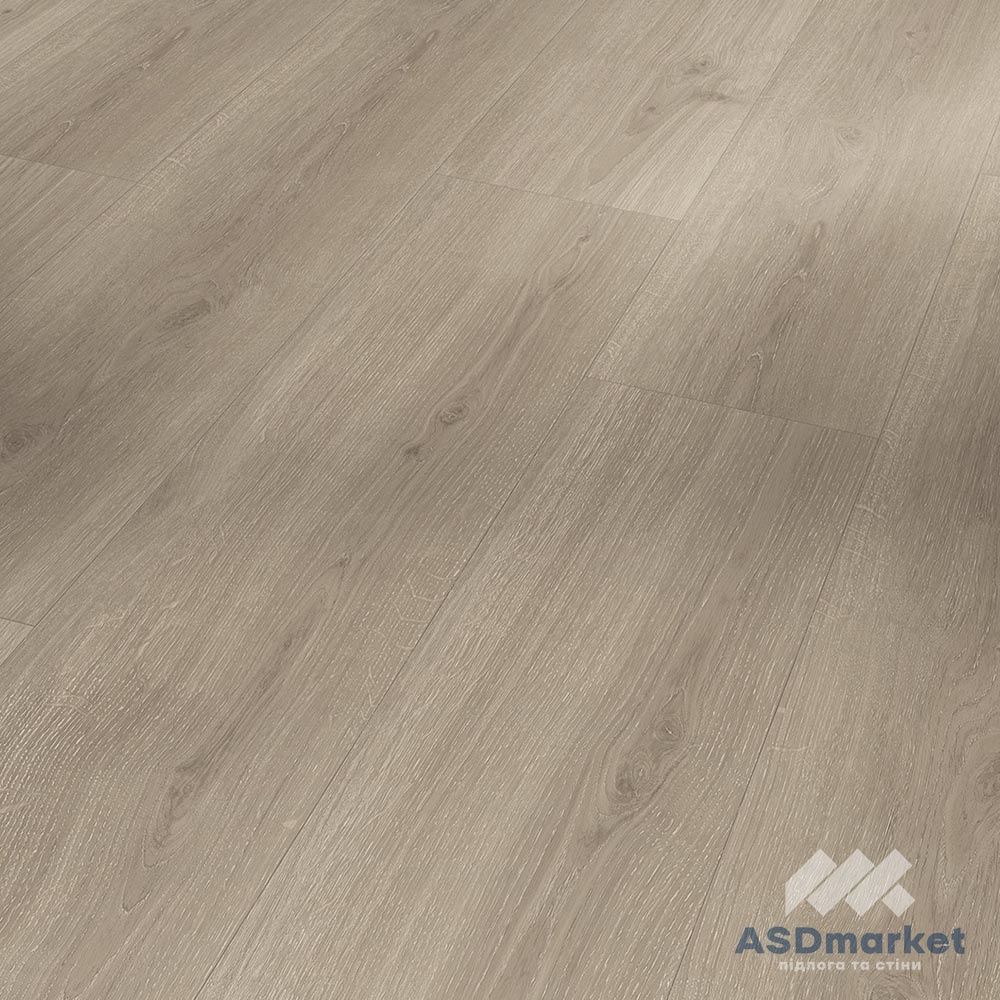 Виниловый SPC Ламинат Parador Rigid Basic 5.3 Oak Regent grey 1748827