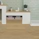 Виниловый SPC ламинат Go Big Premium Jared GB100204