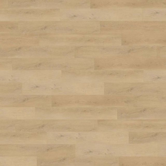 Виниловый пол клеевой Wineo 400 DB Wood L Plain&nbsp;Oak&nbsp;Beige DB281WL
