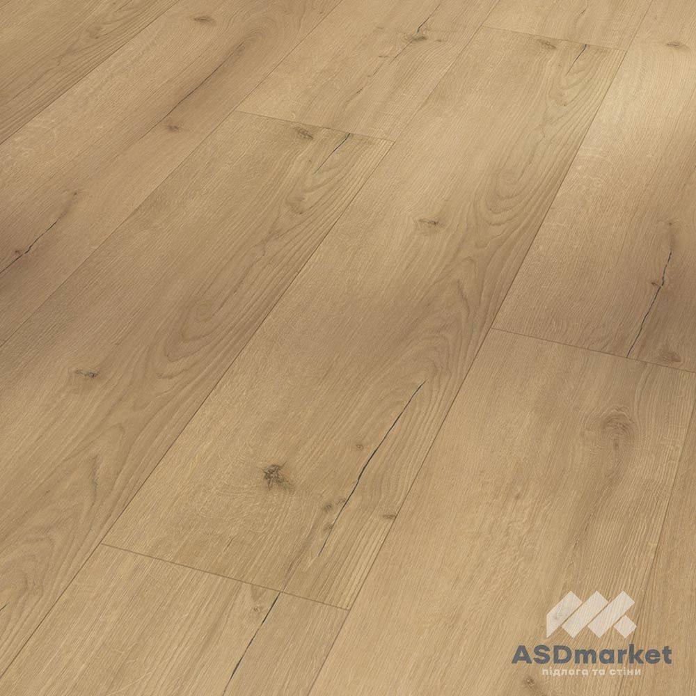 Виниловый SPC Ламинат Parador Rigid Basic 5.3 Oak Infinity natural 1744607