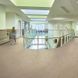 Лінолеум Натуральний Forbo Marmoleum Fresco 2 мм 3252