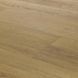 Виниловый SPC ламинат Arbiton Woodric Acoustic Дуб Гленмор CWA 300