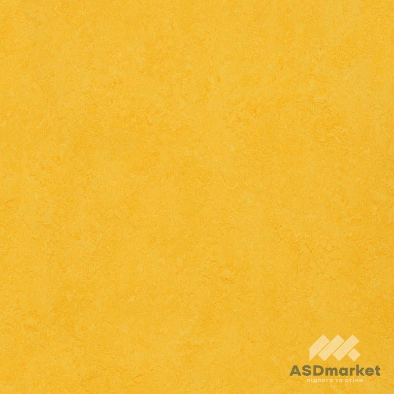 Линолеум Натуральный Forbo Marmoleum Fresco 2 мм 3251