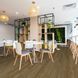 Вініловий SPC Ламінат Falquon The Floor Wood Calm Oak P6003
