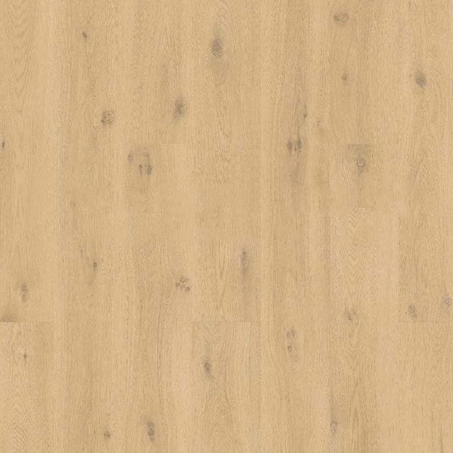 Виниловый пол клеевой Quick-Step Liv Ocean bliss natural SGSPC20313