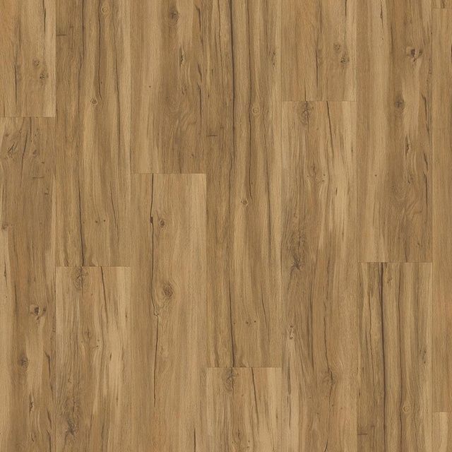 Виниловый пол клеевой Parador Classic 2025 Oak Memory natural 1748871