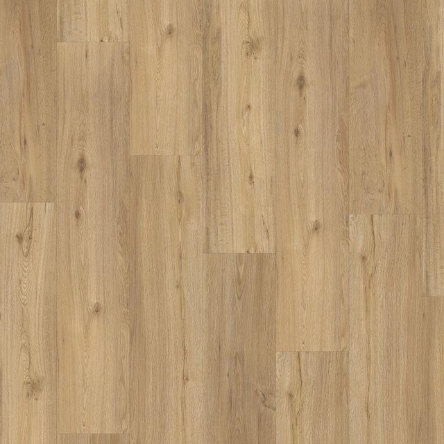 Виниловый пол клеевой Parador Classic 2025 Oak natural 1748872