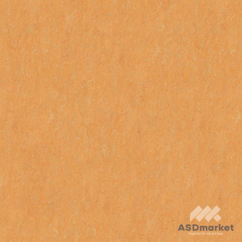 Линолеум Натуральный Forbo Marmoleum Real 2 мм 3847