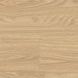 Виниловый пол клеевой Wineo 600 DB Wood NaturalPlace DB183W6