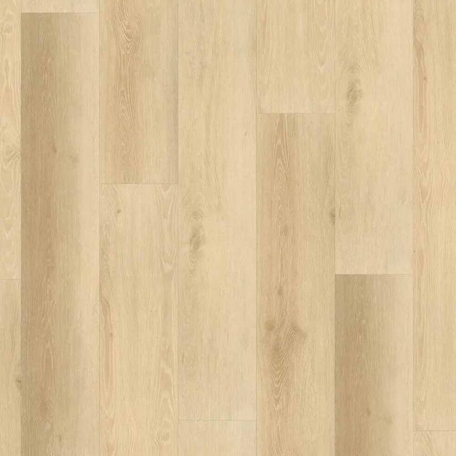 Виниловый пол клеевой Wineo 600 DB Wood XL BarcelonaLoft DB191W6