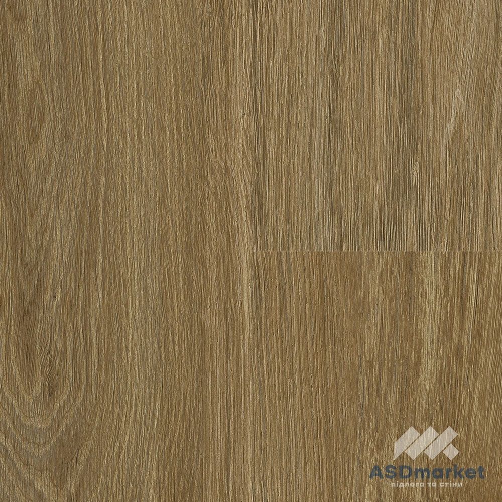 Виниловый пол клеевой Falquon The Floor Wood DryBack Calm Oak P6003